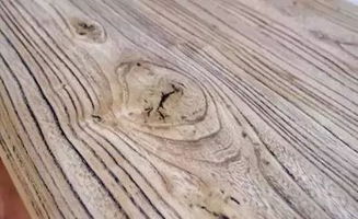 聞香識木，教您識別身邊的木材