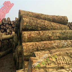 廠家直銷精品輻射松工地木材 品質(zhì)、優(yōu)勢(shì)與家具應(yīng)用