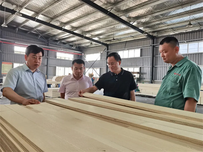 攜手共進(jìn)，共筑未來——熱烈歡迎中國木材保護(hù)工業(yè)協(xié)會(huì)會(huì)長劉能文一行蒞臨福慶參觀考察指導(dǎo)